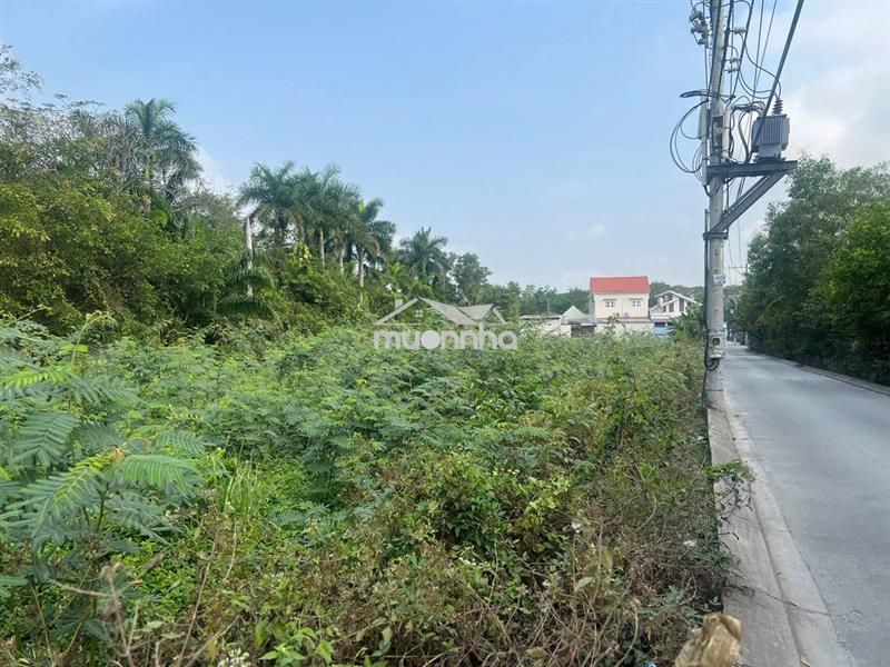 Đất 1000m2 long thuận q9 - cam kết bán lỗ 13,5 tỷ chốt cứng.!!!