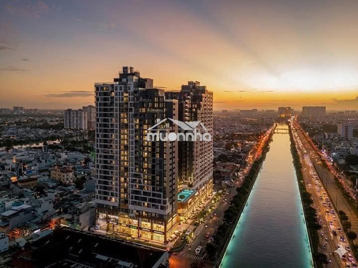 Giỏ hàng bán daqua nhiều căn, giá tốt - 3
