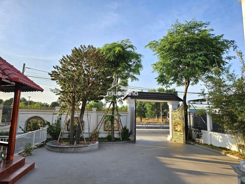 Biệt thự sang trọng ngay khu nhà phố phước đông. 11,5 tỷ - 4