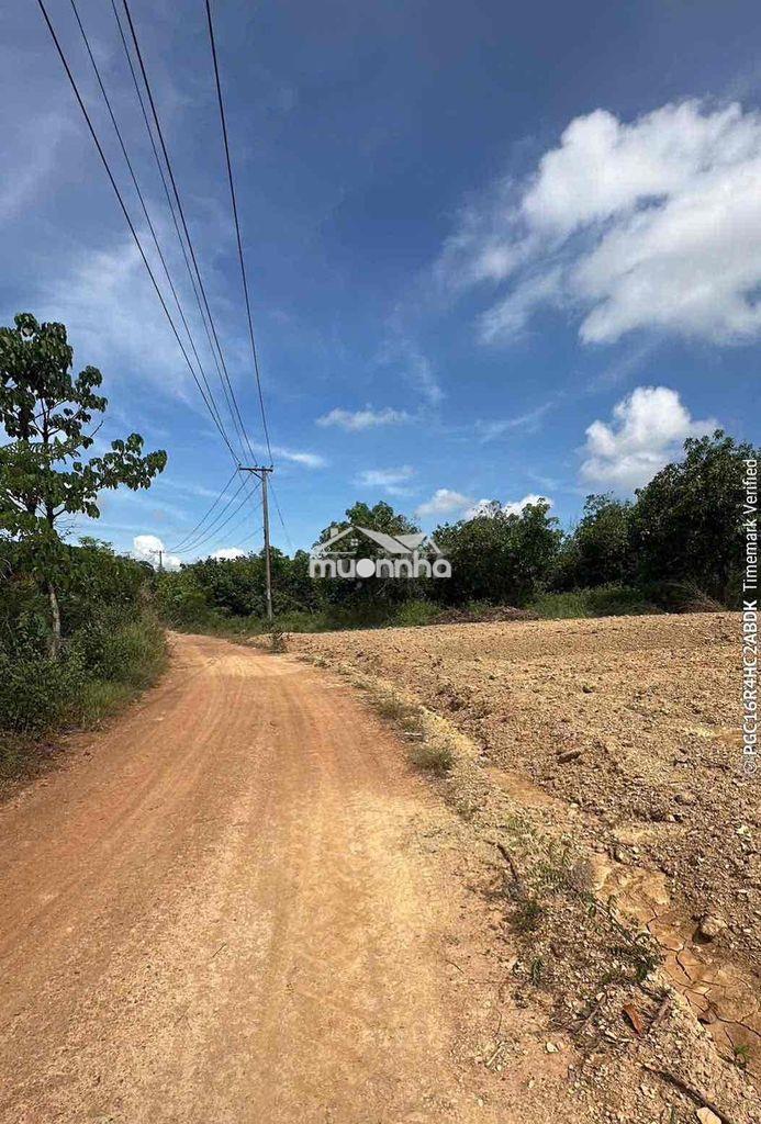 Bán đất 1653m2, 2 mặt tiền, cách ql20 1km, đường 24m - 2