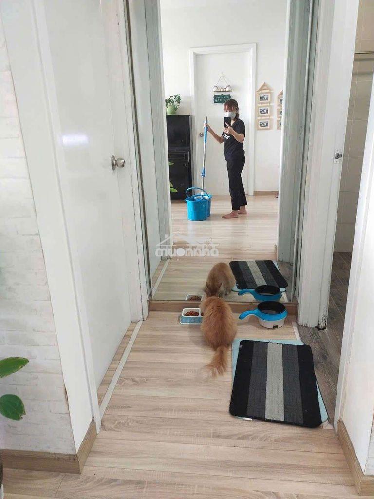 Cho thuê căn hộ ngọc lan căn 2pn - 3