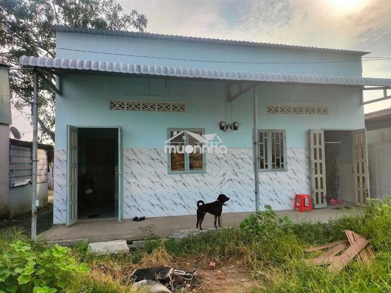 Tìm 1 bạn ở ghép nhà nguyên căn gần bx miền tây 