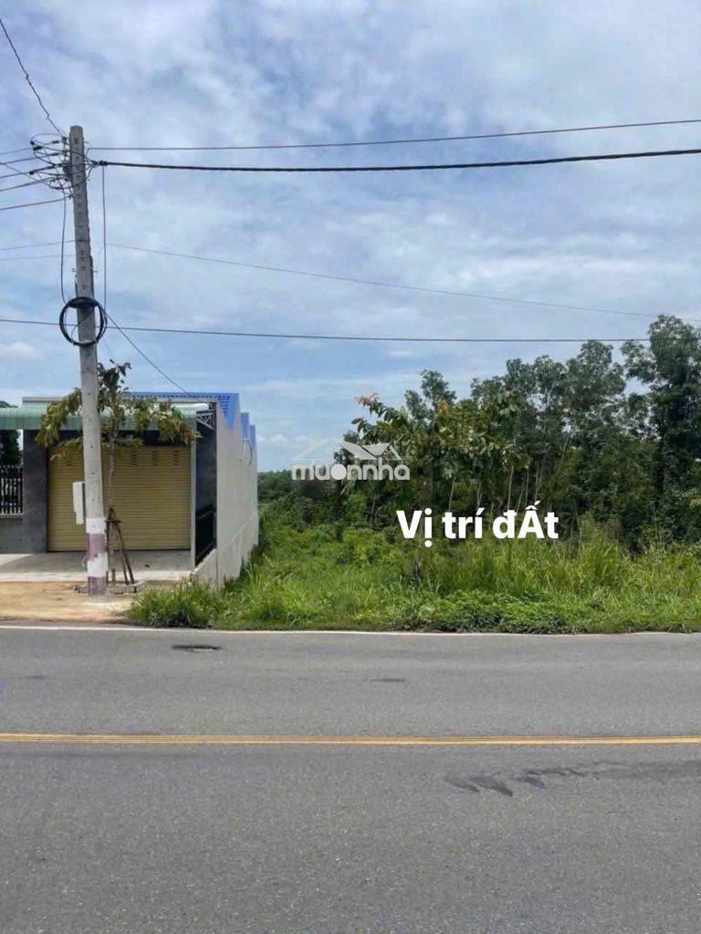 NGỘP - CẦN BÁN ĐẤT MẶT TIỀN ĐƯỜNG TỈNH LỘ 768 - 2