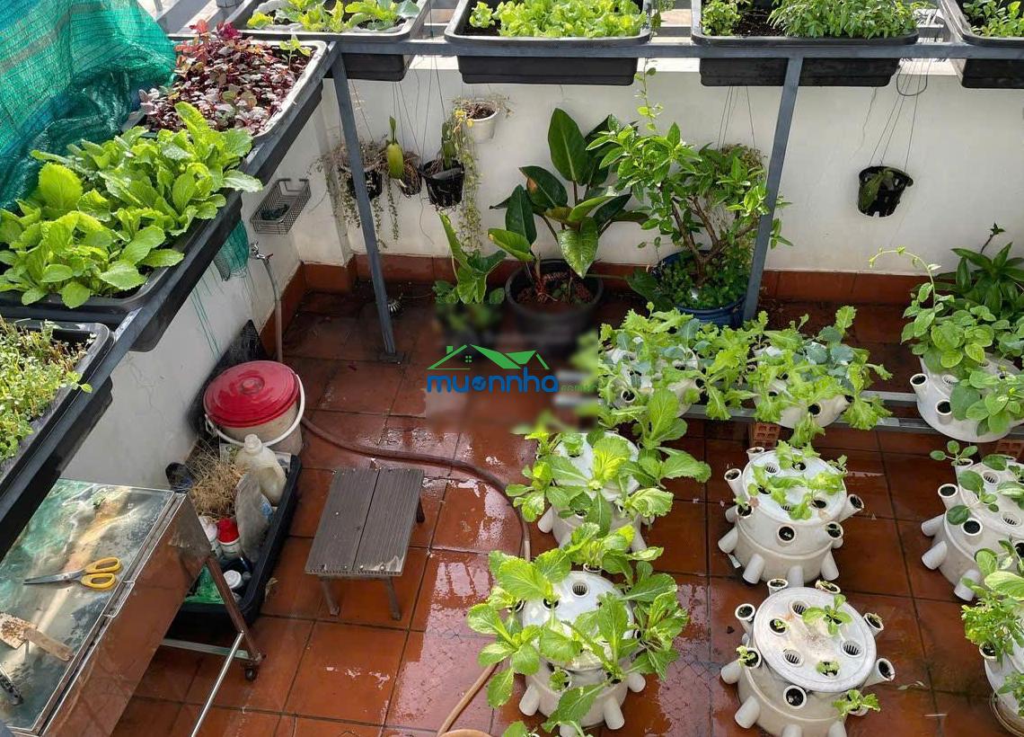 Biệt thự phố 6 tầng thang máy thiết kế ấn tượng - 2