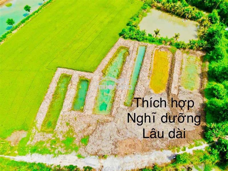 Đất ruộng 1183m2 lộ đá mi phường bình đức mới