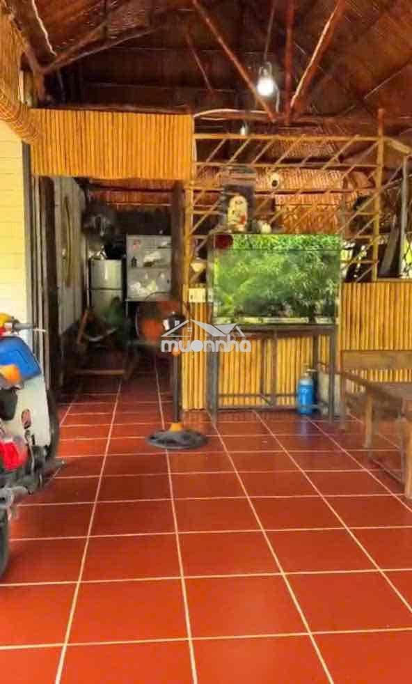 Gấp gấp nhà vườn an điền 15x52m.  thổ cư 200m2 sẵn nhà , cây ăn quả - 2