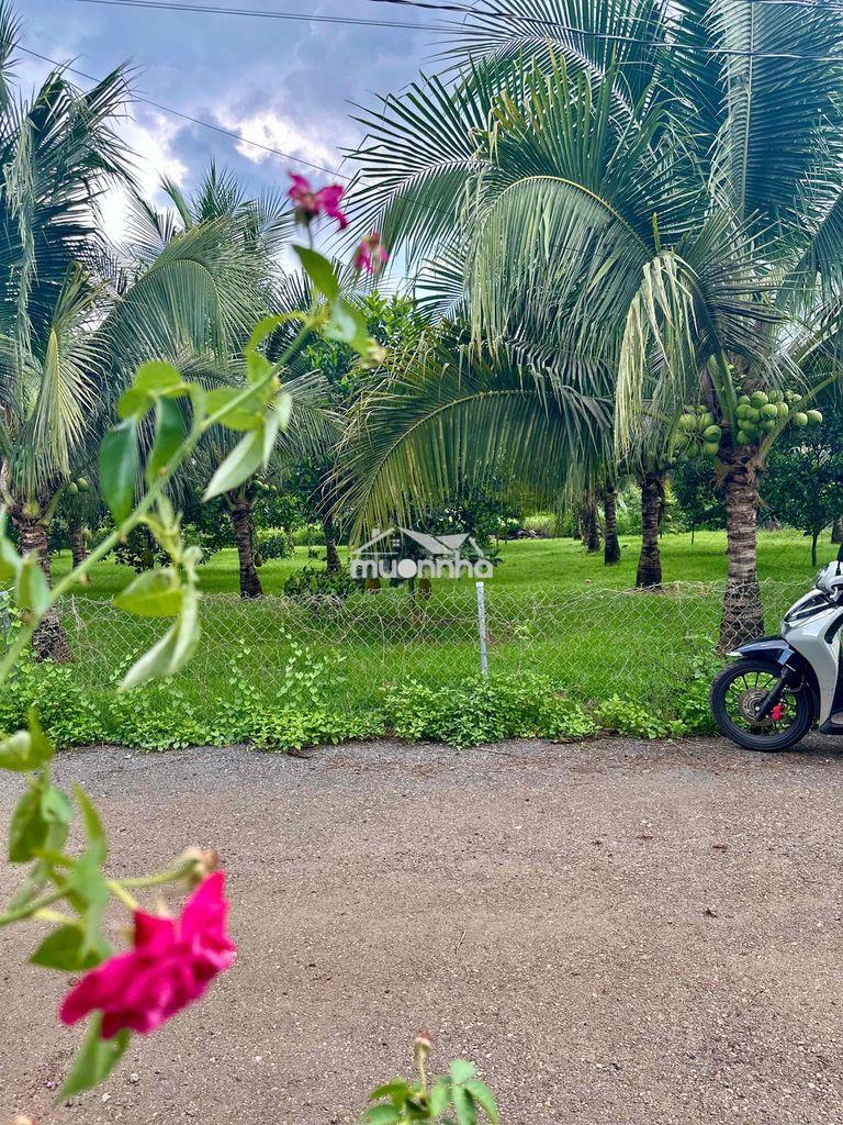 🌿 CHỈ 1,3 TỶ – SỞ HỮU NGAY LÔ ĐẤT ĐẸP XÂY NHÀ VƯỜN | 20 PHÚT ĐẾN NÚI C - 3