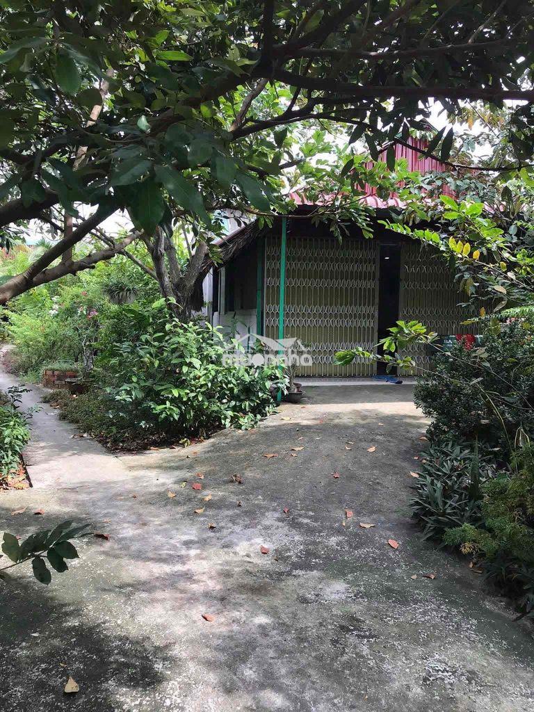 Nhà vườn 950m2 mt đường nhựa xã bình chánh tphcm - 3