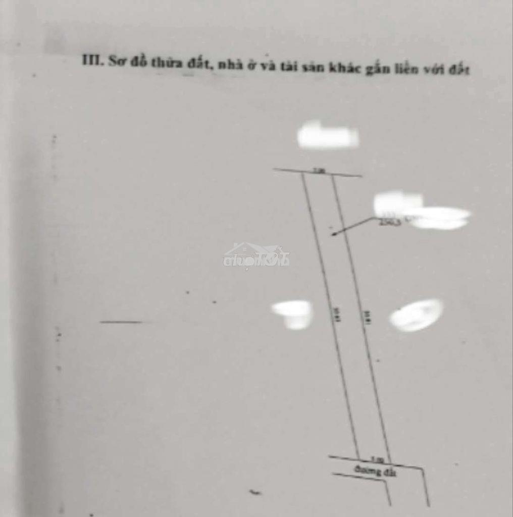 Đất trồng cây lâu năm phân lô cách 1 căn nhà là mặt tiền đường lớn  - 3