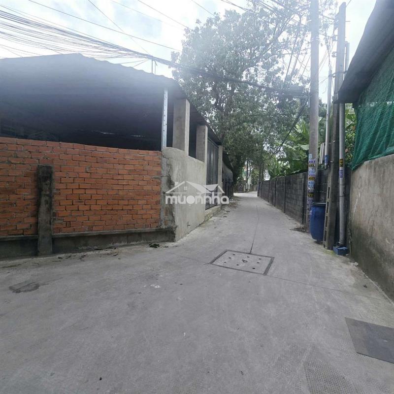 Bán rẻ nhà cấp 4 diện tích lớn tân đông hiệp dĩ an