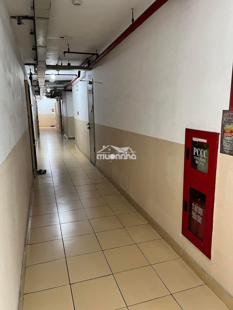 Cho thuê căn hộ 1 pn cc sen hồng (cầu vượt sóng thần) - 2