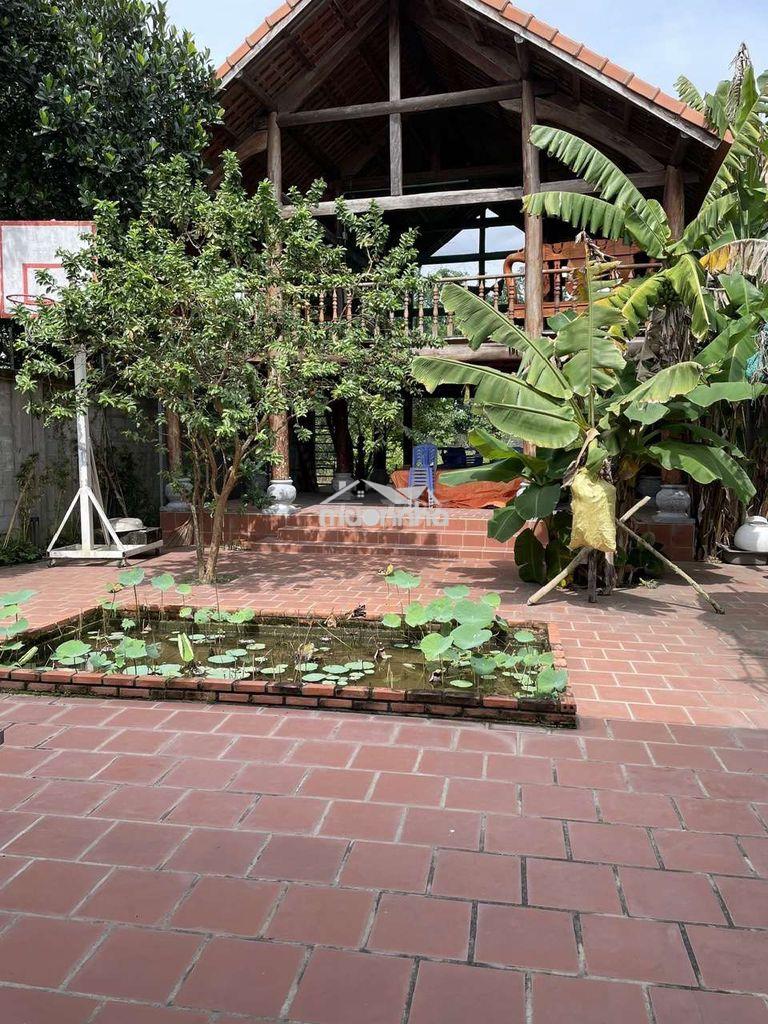 Cho thuê rẻ biệt thự giữ nhà. 1000m2 đầy đủ công năng. đường bàu lách - 4
