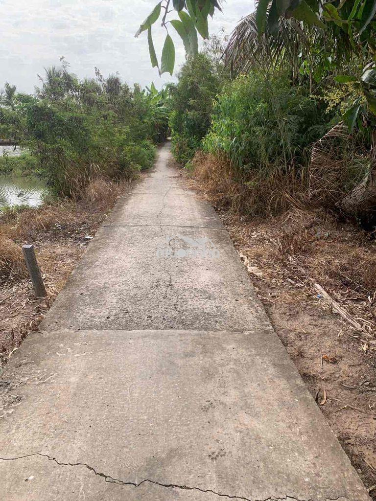 Bán 1000m2 đất vườn mát mẽ cho người cần nơi ở dưỡng già - 3