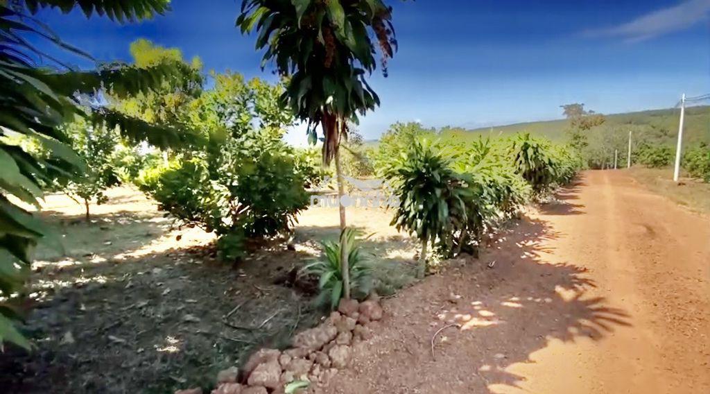 Bán đất 1 hecta-ccn bù nho 75hec-phú riềng đồng nai-cách đt 741 - 200m - 4