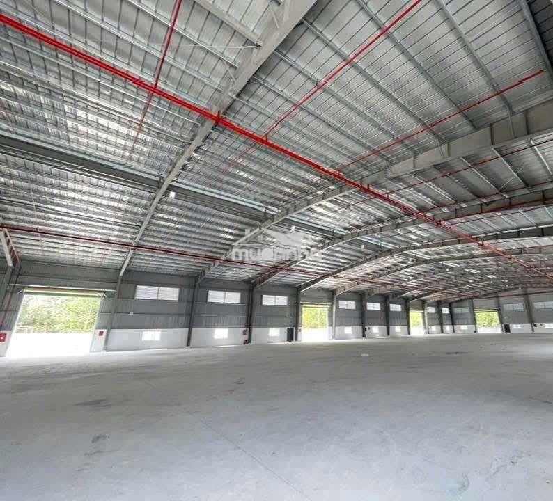 Cho thuê xưởng sản xuất 7500m2.đầy đủ giấy tờ ,an điền,long nguyen,bd - 4