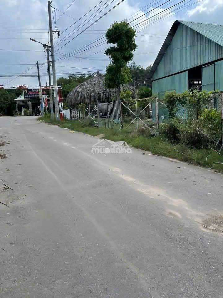 Kẹt tiền bán gấp - 2