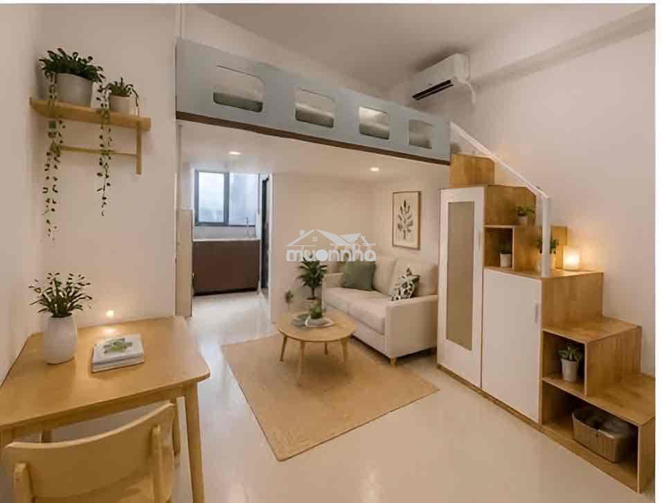 Cho thuê duplex rộng rãi mới đầy đủ nội thất ở ngay tân sơn nhì - 2