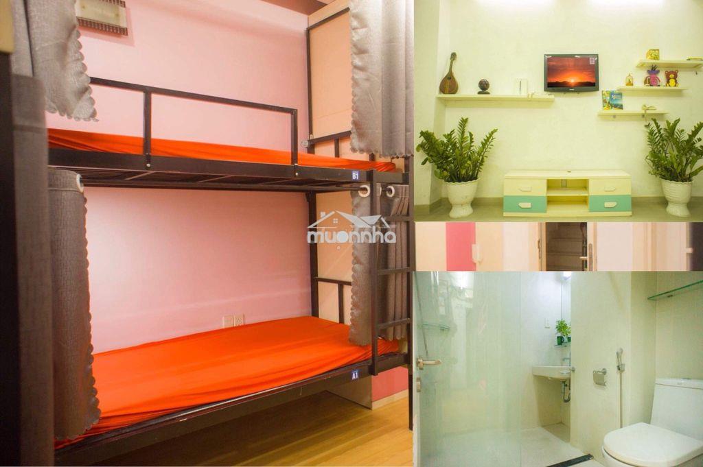 Nguyễn chí thanh chợ rẫy ngành y phòng trọ ghép sinh viên văn phòng - 2