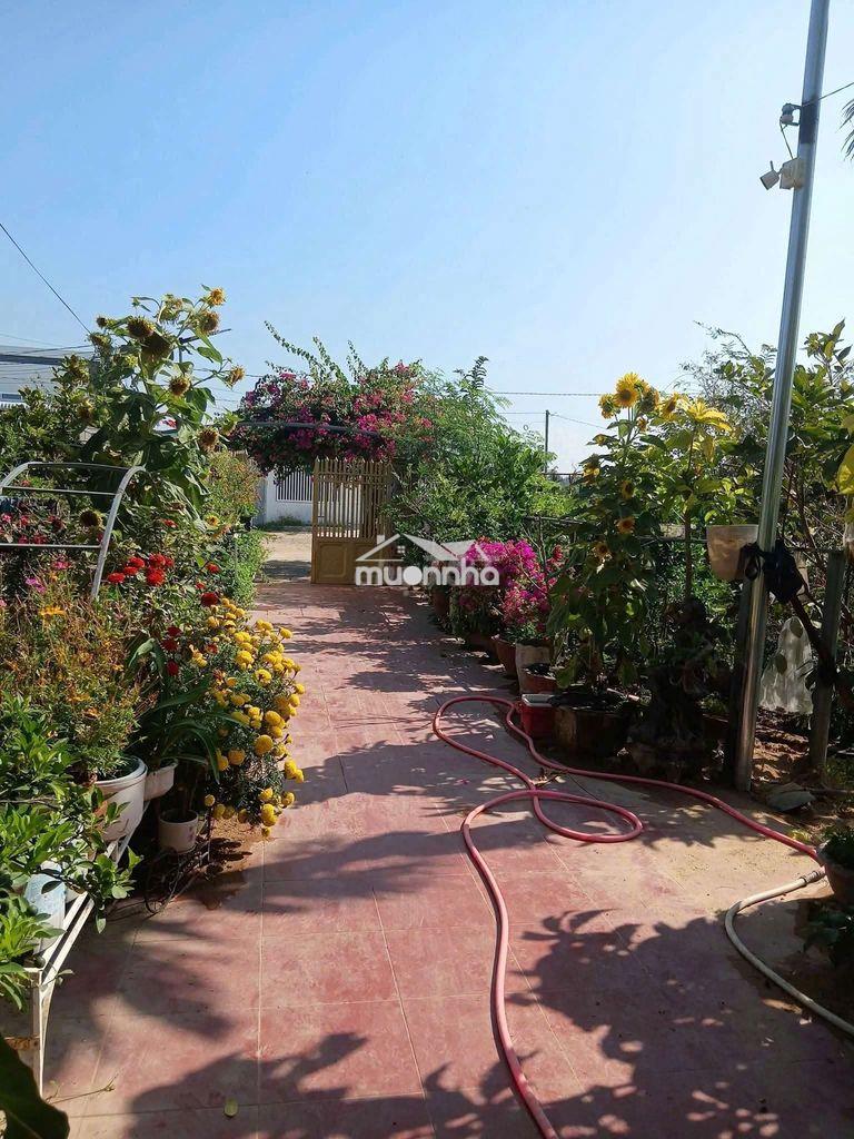 Đất vườn có thổ cư - 4