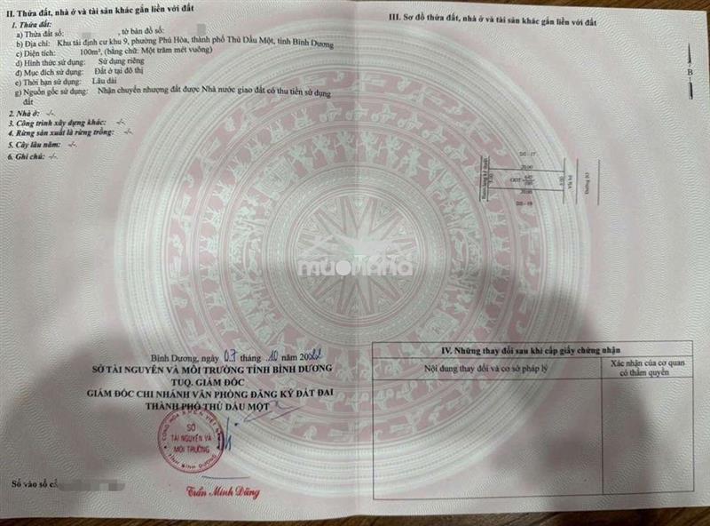 Mở cửa là công viên, nhà 5x20m đang có dòng tiền – căn này quá hiếm!