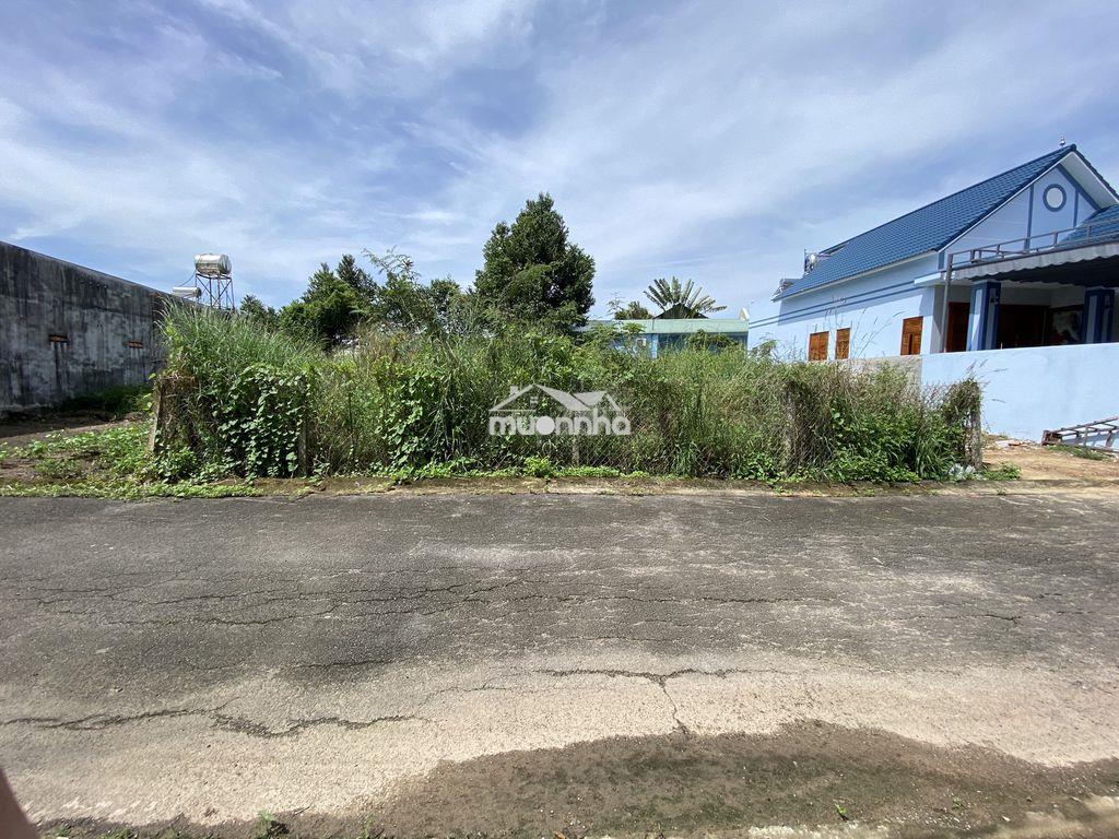 239m2 đất shr - thổ cư ngay công an xã an viễn mới - 2