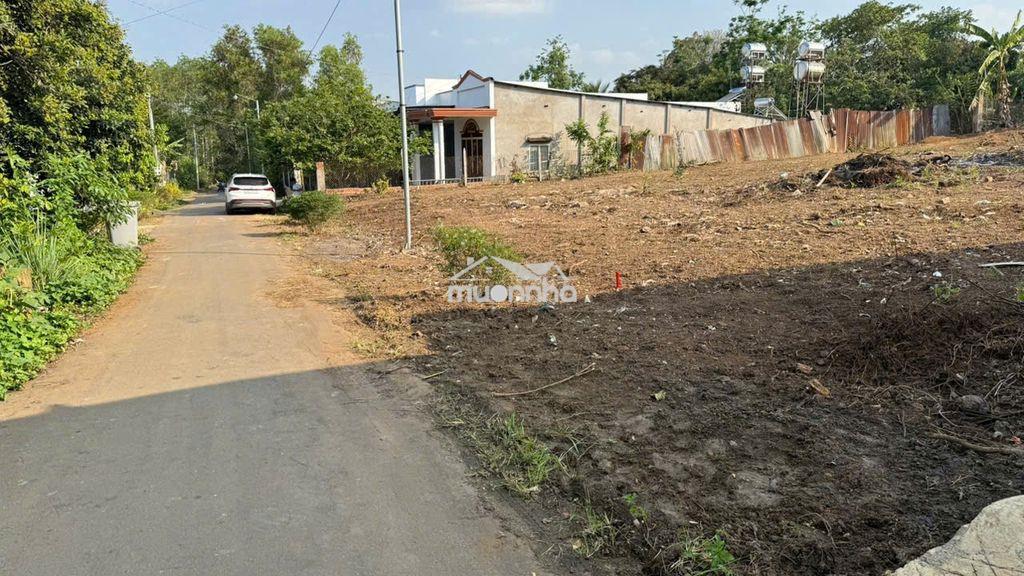 Đất nền thổ cư sổ riêng 10x24 giá950triệu bình lộc long khánh đồng nai - 3