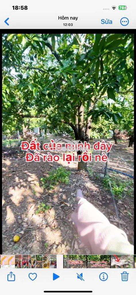 Đất nền thổ cư - 2
