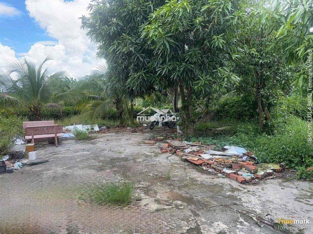 750m2 có 370m2 thổ cư mt đường kênh sáng xã lê minh xuân - 4