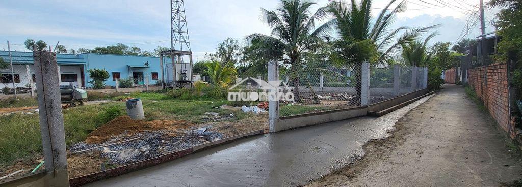 1170m2 khu phố 3 trung tâm tân nhựt (sẵn thổ cư) gần nhiều tiện ích - 4