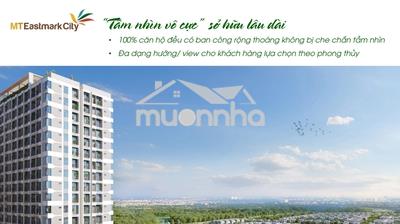 Căn hộ 2pn 73m2 block c tầng 9 hướng vđ3 c/c mt eastmark - 3