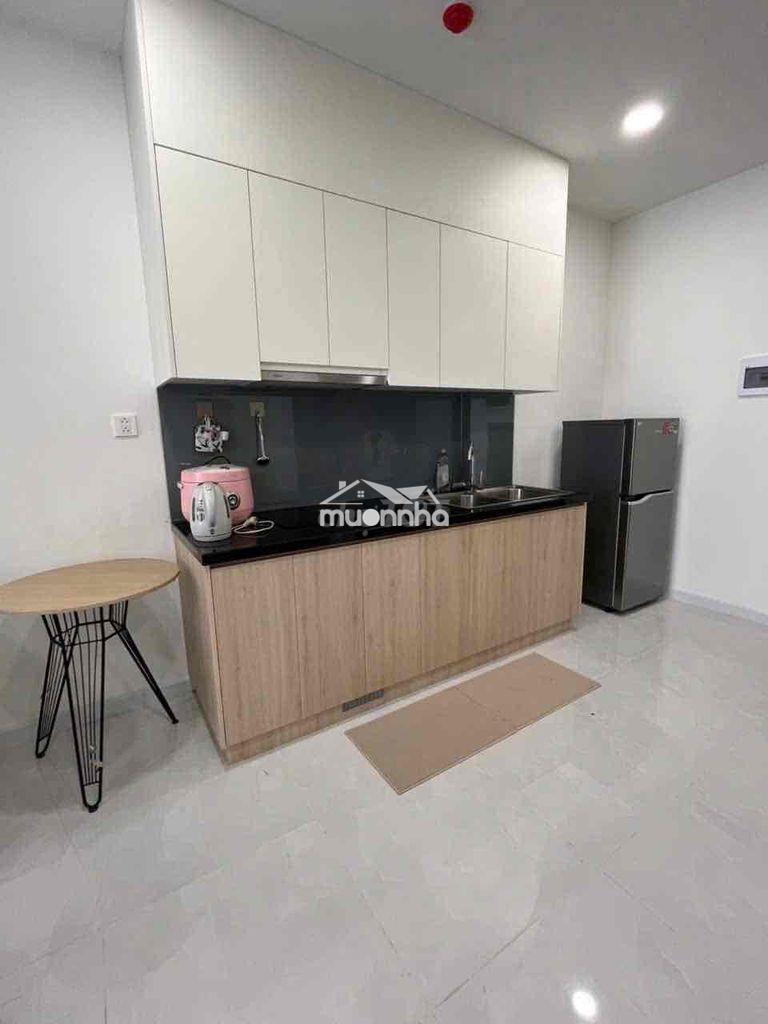 Cho thuê chung cư mới, giá tốt đầy đủ nội thất tại phú thọ thủ dầu 1 - 4