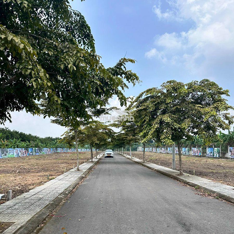 Đầu tư đất nền sổ sẳn liền kề: kcn, sân bay, trường đh, tttm,.... - 2