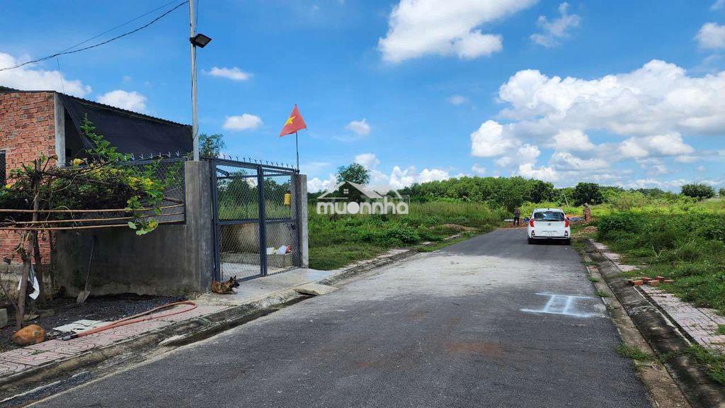 Siêu ngộp! 105m2, đất thổ cư, đường nhựa gần kcn bàu xéo và vđ4 - 3