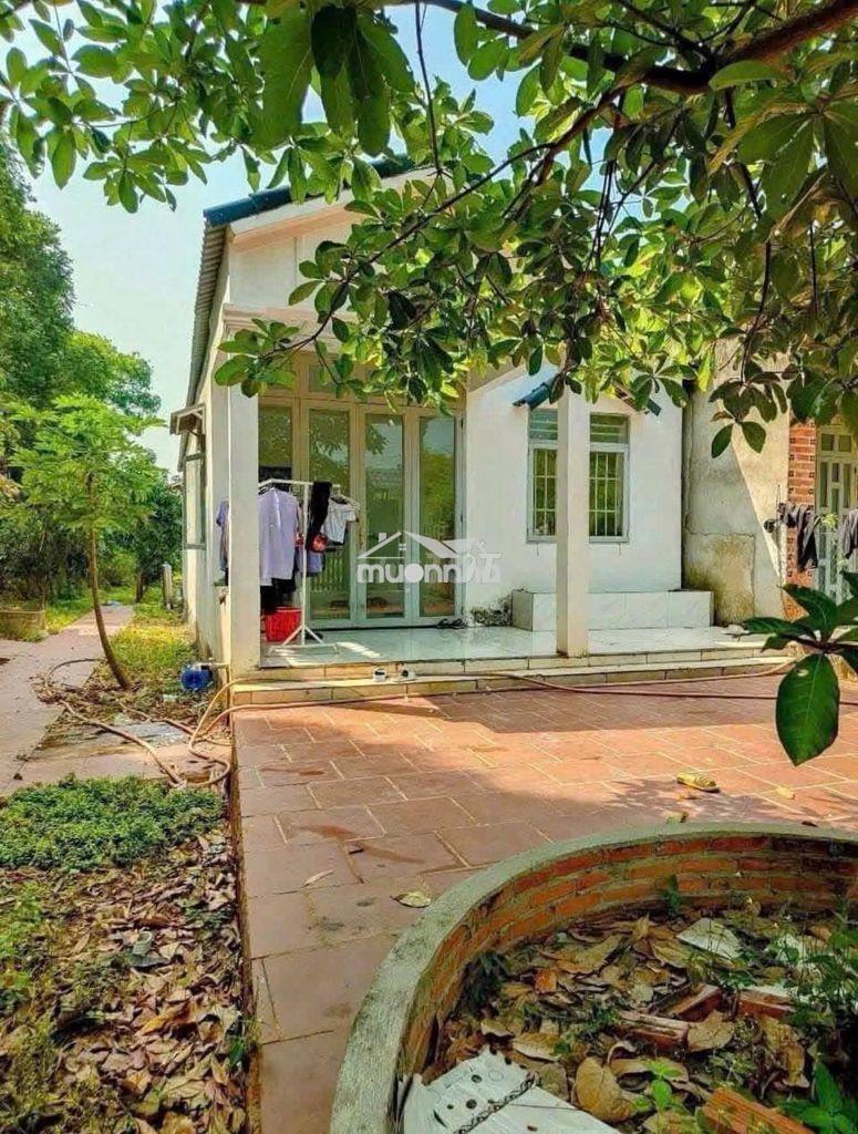 Bán căn nhà vườn nhỏ hơn 500m2 , giá 680triệu ,sổ sẵn. - 2