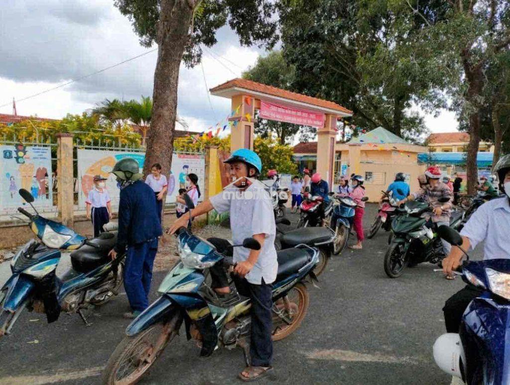 Đất giá rẻ - 3