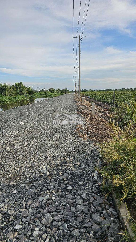 500m2 mặt tiền đường nhựa 1ty590tr - 2