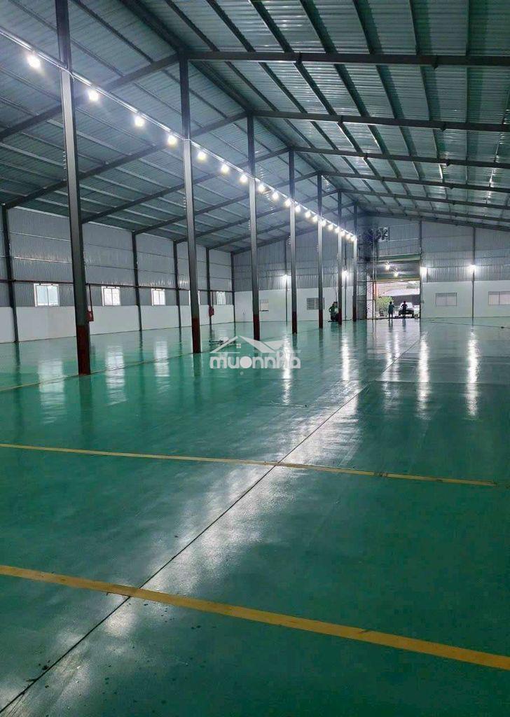 Cho thuê xưởng thuận giao thuận an bình dương - 2