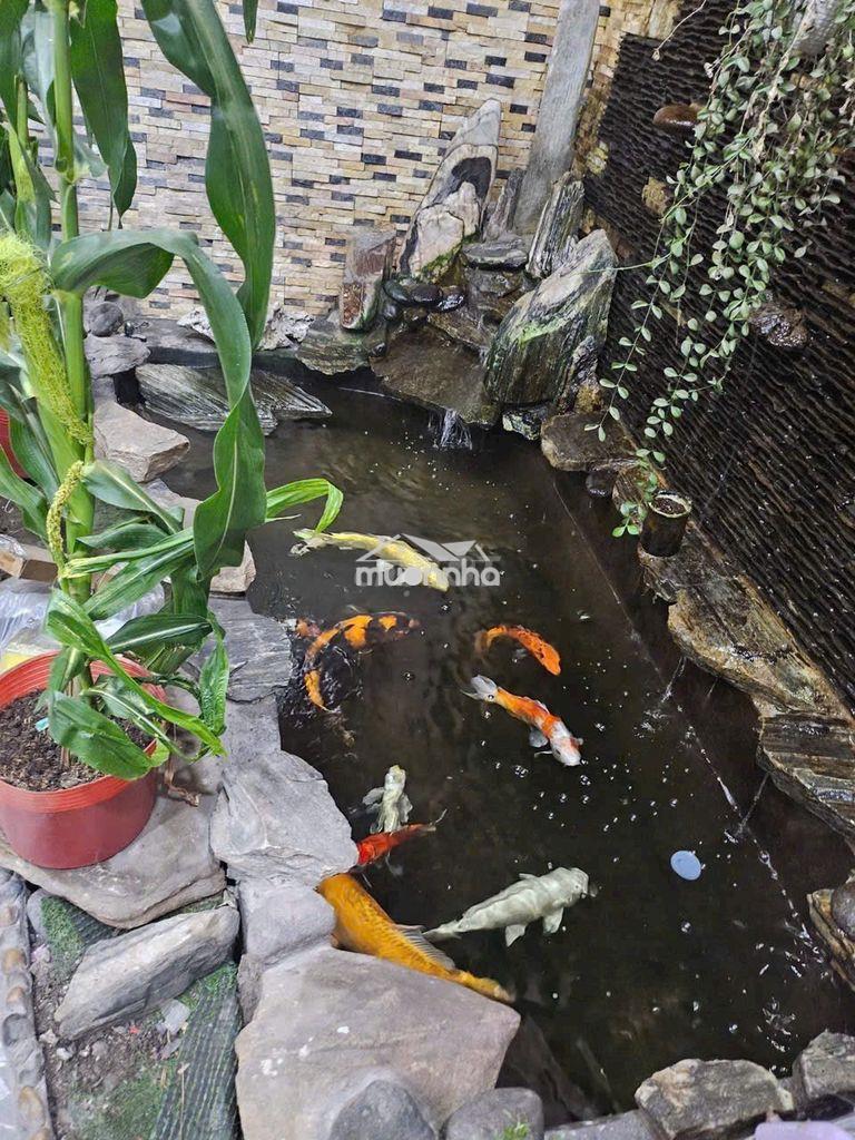 Cho thuê nhà phường an bình giá 6 triệu - 3