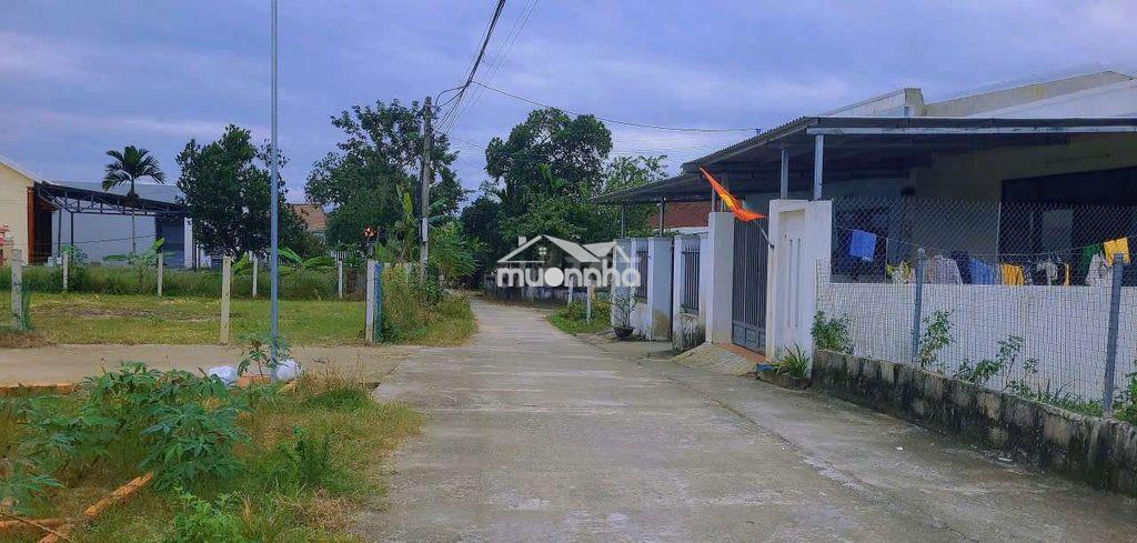 250m2 đất trồng cây hằng năm, khả năng lên thổ được trong tương lai - 2
