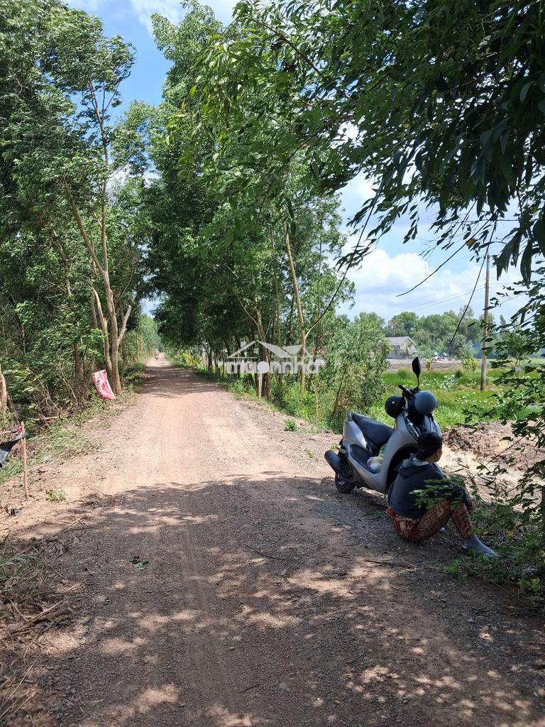 Bán 520tr hết đất, 1300m² có thổ cư 295m² - 3