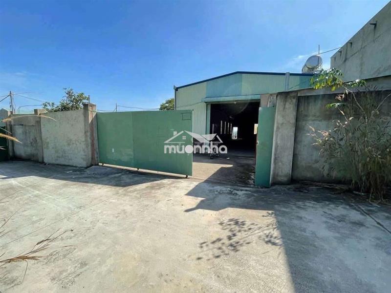 Xưởng dĩ an đất 2000m xưởng 1000m giá 65 cont đi 24/24