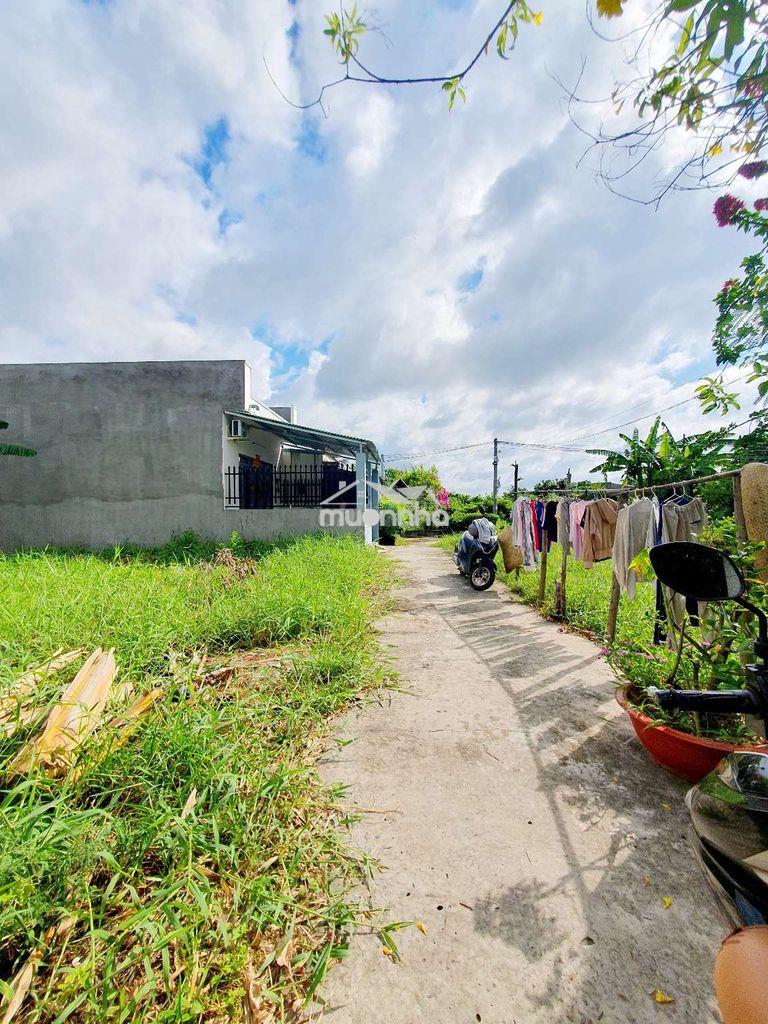 🏡 Đất nền mỹ lộc – cần giuộc cũ, chỉ 580 triệu