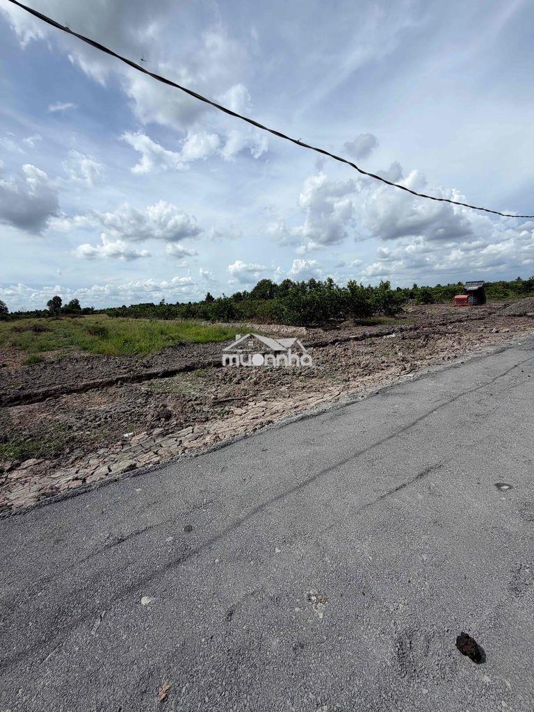 500m2 đất vườn trồng chanh ,thạnh hoà ,bến lức  long an ,kế bên tphcm - 4