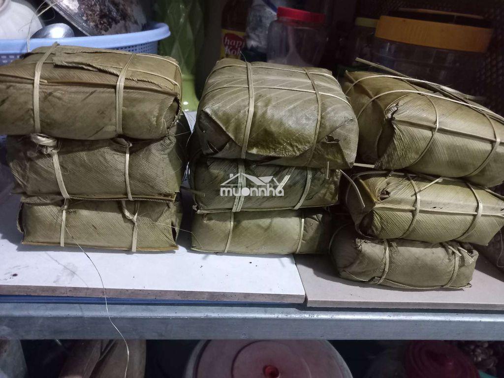 Cho thuê nhà trệt lửng - 3