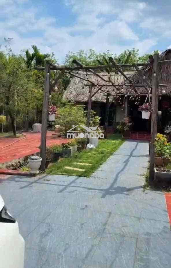Gấp gấp nhà vườn an điền 15x52m.  thổ cư 200m2 sẵn nhà , cây ăn quả - 4
