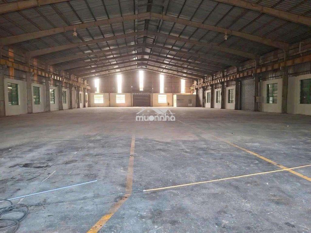 Cho thuê xưởng 2000m2.có cẩu trục 10 tấn.pccc tự động,an phú,thuận an - 2
