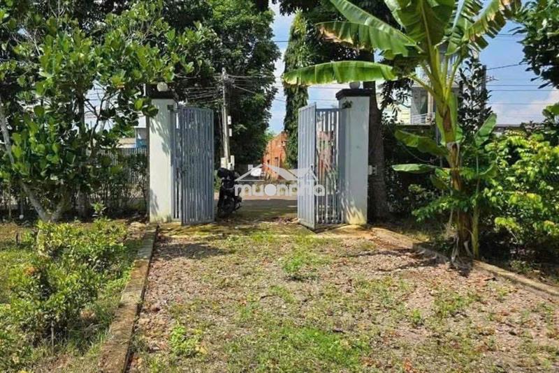 Đất vườn có thổ cư xây nhà