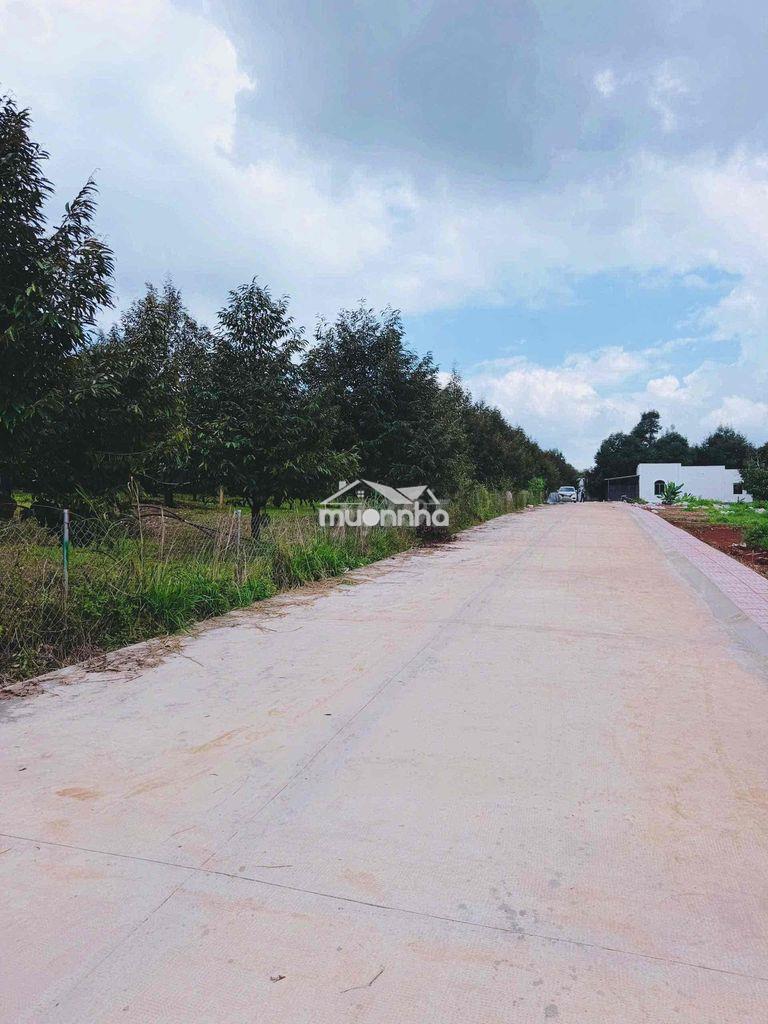 Đất xào có thổ cư quy hoạch đất ở - 3