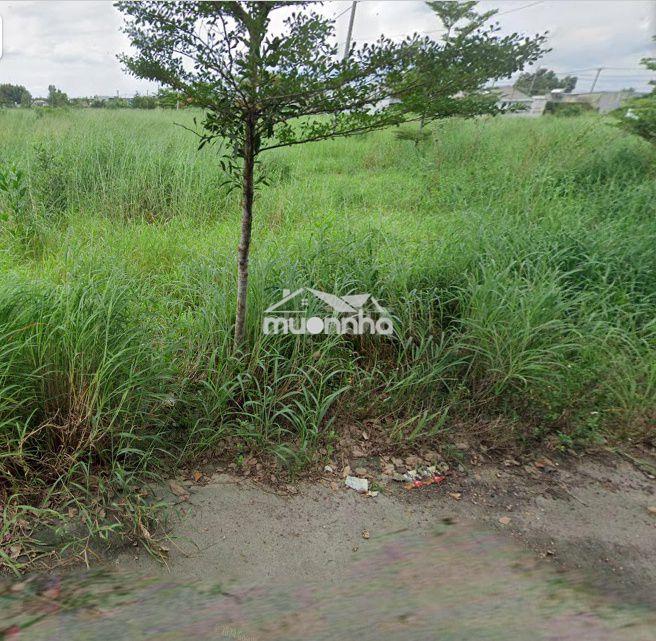 Bán 3 lô đất ngay kcn giang điền, đường ô tô thông 1tỷ3/lô shr - 3