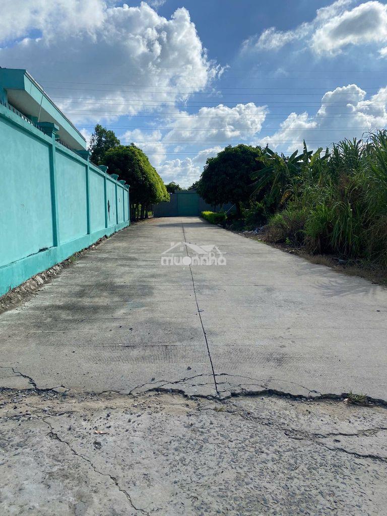 Chính chủ bán đất thổ cư 110m² - ngày trụ sở công an nhựt chánh - 3